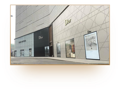 Dior Wuhan Project